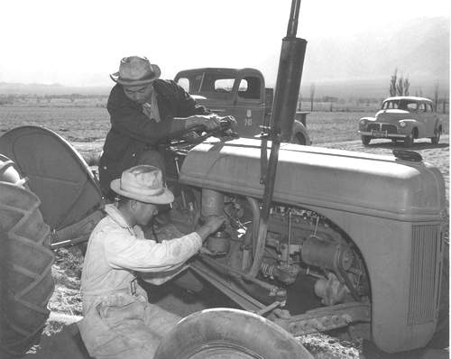 1942 Ford 9N Tractor with Benji Iguchi and Harry Henry Hanawa making