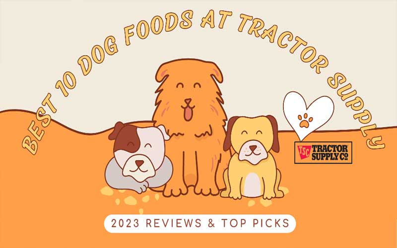 best dog food at tractor supply