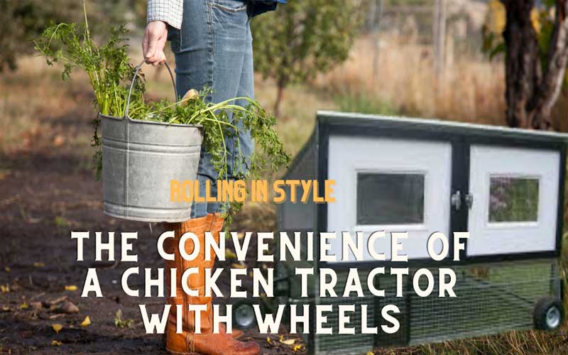 chicken tractor with wheels