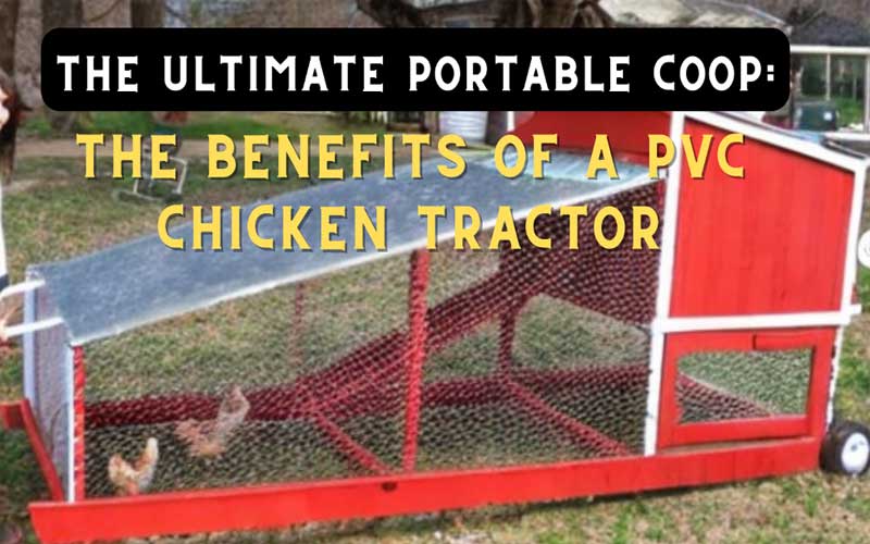 pvc chicken tractor
